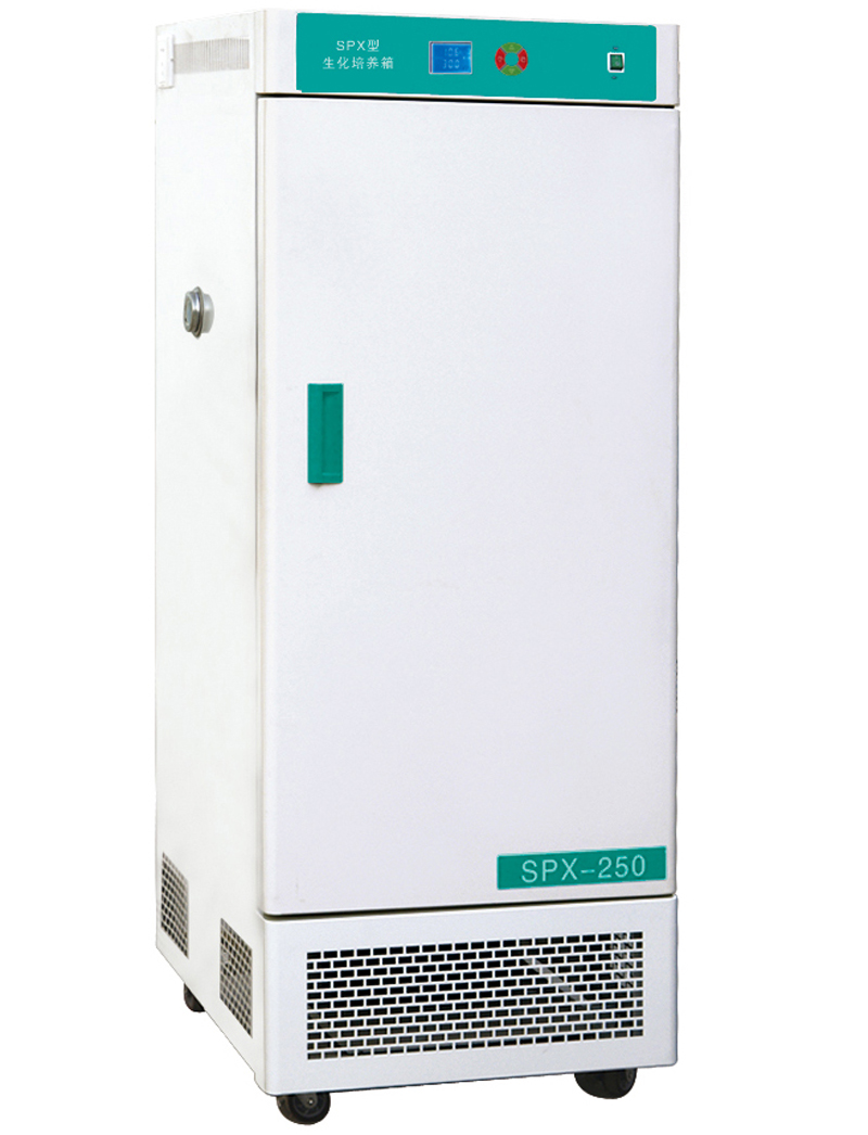 Laboratory Biological constant temperatus incubator