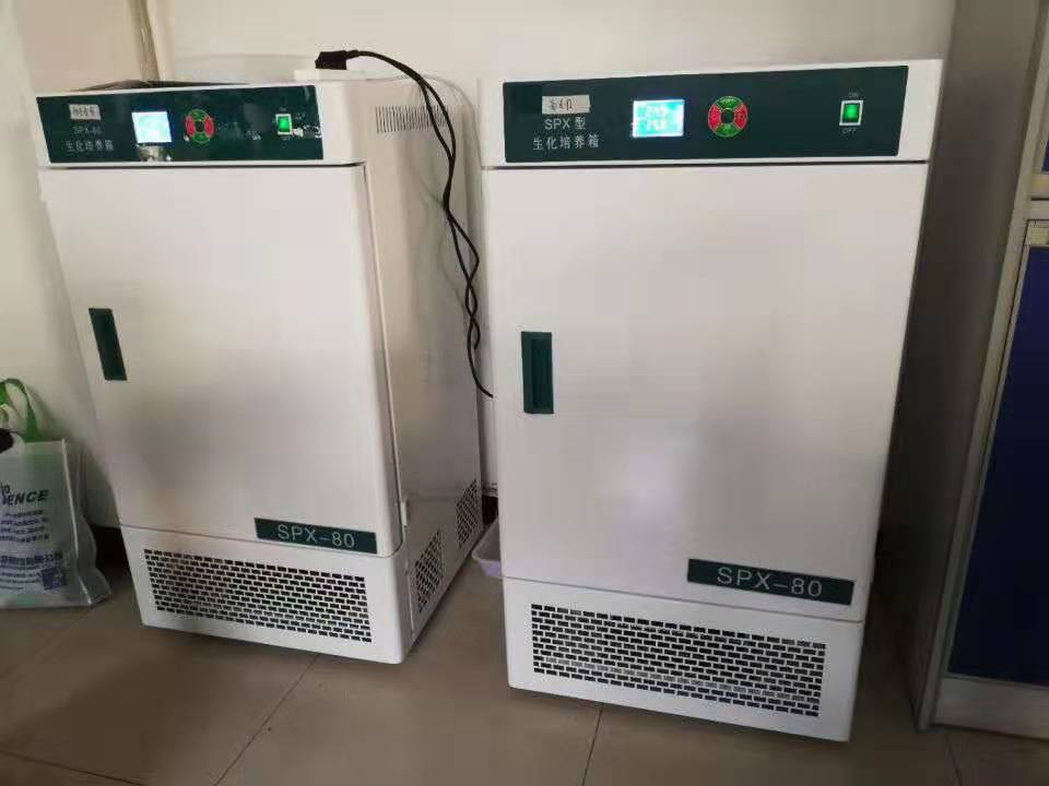 Laboratory Bod Refrigerant Incubator
