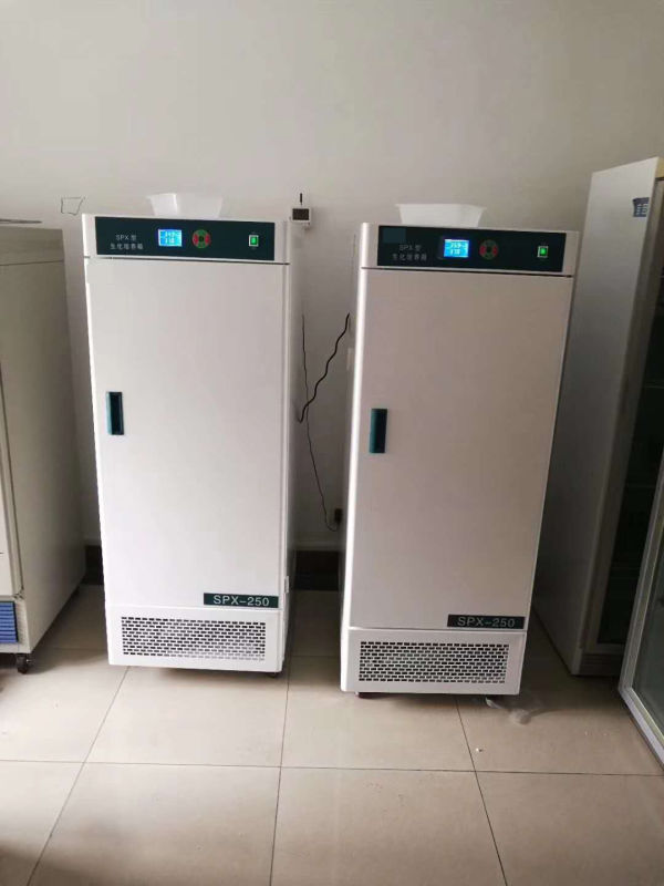 Biochemical incubator