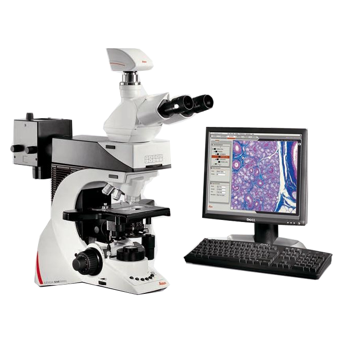 Emulsified bitumen particula magnitudine analyser
